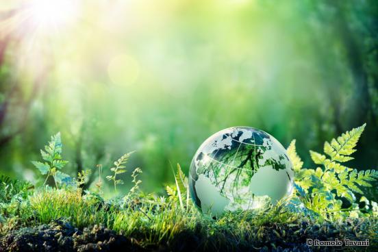 Umweltbewusst umziehen? Mit confern kein Problem!